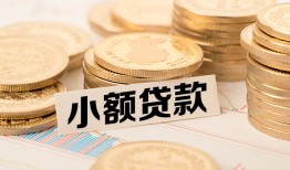 东莞14空放-东莞14个人短借-东莞14身份证小额贷款