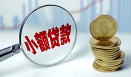 东莞14哪里可以小额贷款-东莞14哪里有民间借贷-东莞14民间短期私借借款